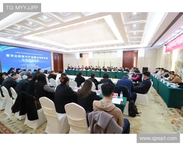 武汉三镇协同发展新格局探索推动城市经济文化多元化融合新篇章