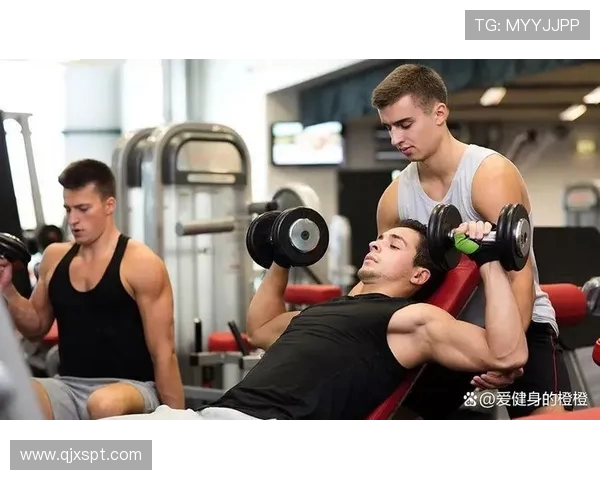 科学健身全攻略打造强健体魄与健康生活新方式